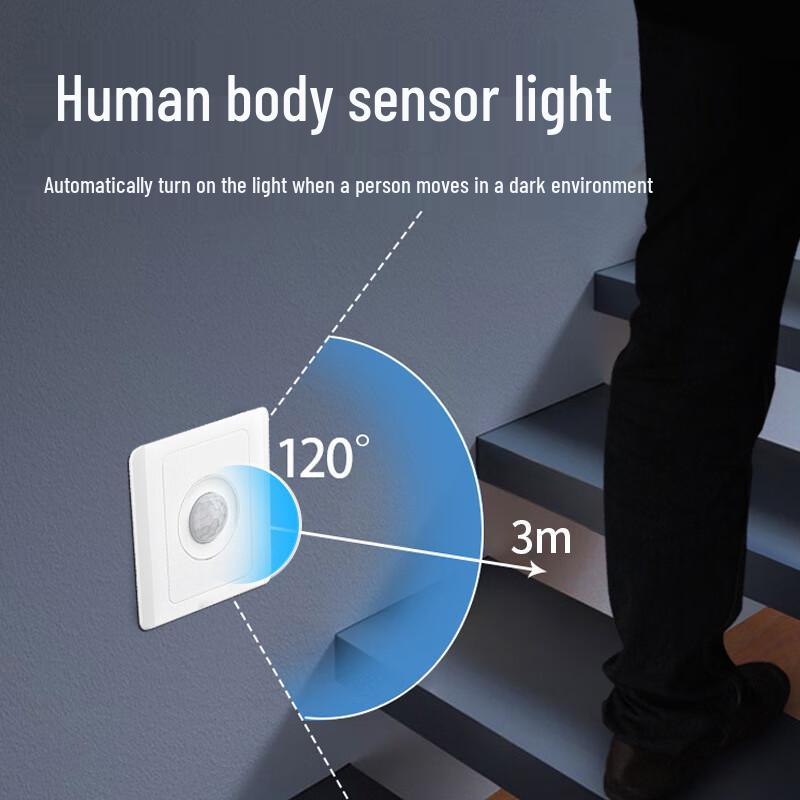 Zhuochi Corridor Infrared Motion Sensor Delay Switch Panel (2-Pack) CN plug (adapter included)