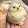 Ручная игрушка-антистресс цыпленок Карманный размер Ультрамягкий цыпленок Сжималка Фиджет-игрушка Снятие тревоги Цыпленок Зажим Сенсорная игрушка Пасхальные наполнители