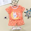 2023 Summer Cotton Children's Short Sleeve T-shirt Set Baby Short Sleeve Shorts Two-piece Set