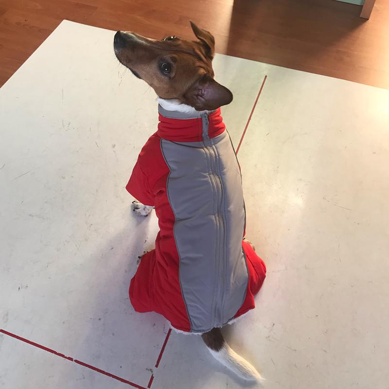 Warm Thicken Male Female Dog Jumpsuit for Small Dogs Winter Pet Donw Jacket Yorkshire Pug Bichon Overalls Puppy mascotas Clothes