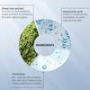 O3+ Набор для свадебного ухода за лицом Hydrate & Glow 10 шагов для сухой кожи с гиалуроновой кислотой, экстрактом зеленого чая, пантенолом 42 г + 80 мл