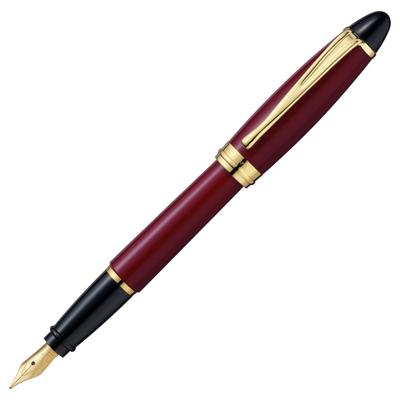 Перьевая ручка Aurora EF Extra Fine Point Epsilon Bordeaux Regular Imported Product B11-XE Двойного назначения