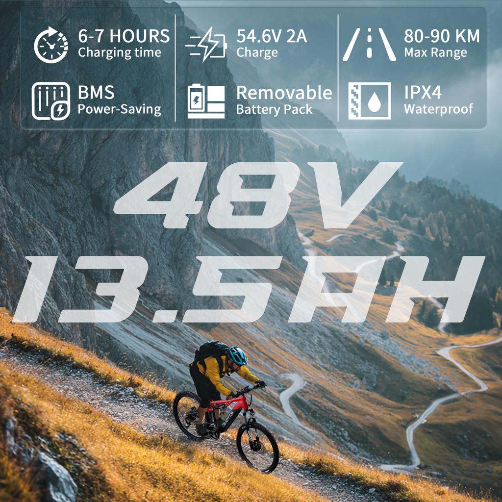 DUOTTS E29 Electric Bike 250W(Peak Value of 750W) Motor 48V 13.5Ah Battery Off-road Electric Bicycle 27.5 Inch Fat Tire E Bike