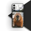 Чехол для телефона для Motorola Moto G86 G57 E14 E15 G14 G34 G35 G84 G24 A54 G15 Power E22 Корпус Мягкий чехол Милая капибара