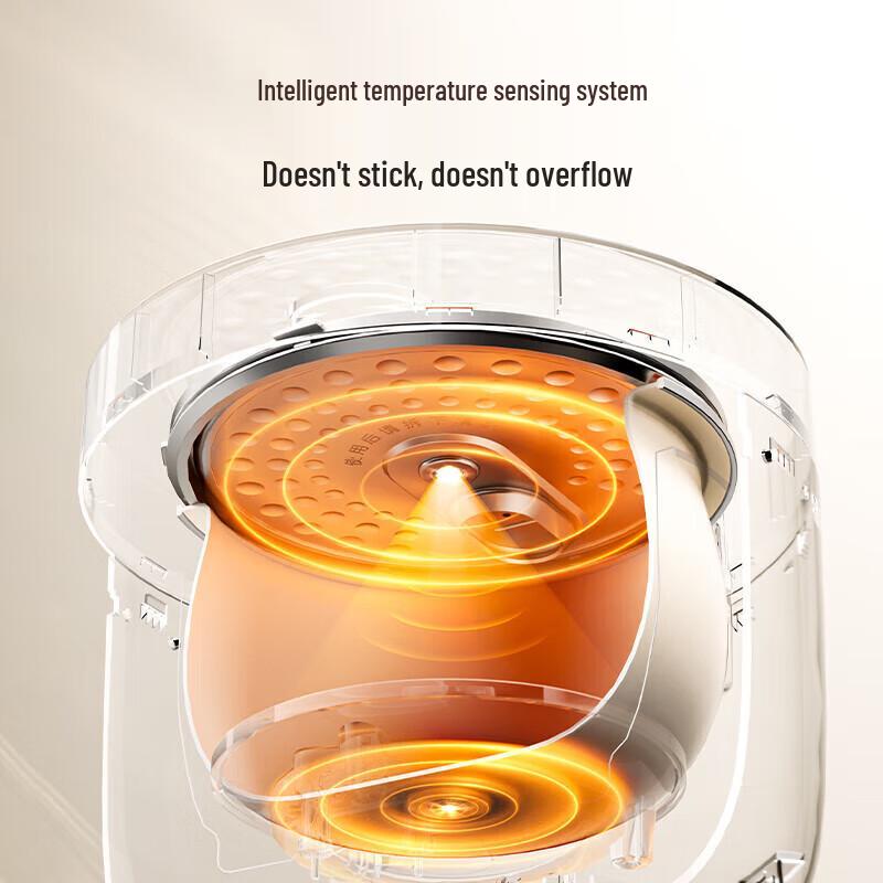 Многофункциональная мини-рисоварка Morphy Richards 2,5 л, штепсель CN (адаптер в комплекте)