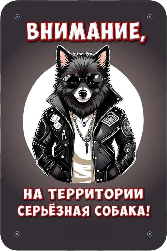 Металлическая табличка Осторожно Злая собака 30x20см Шпиц
