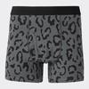 Боксеры шорты reGular Rise Leopard 