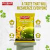 Pushp Panipuri Masala Tangy Spicy Mint Tamarind Spice Mix for Authentic Indian Street Style Pani Puri 100g Pack of 5