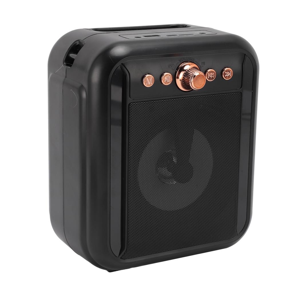 Karaoke Machine Clear Sound 3000mAh Battery Lower Noise Lightweight Bluetooth Karaoke Speaker