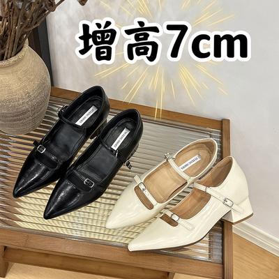 2025 весна и осень новые туфли-лодочки с острым носком, неглубоким вырезом и толстым каблуком, женские бежевые туфли с ремешком Мэри Джейн, внутренние каблуки, увеличивающие рост