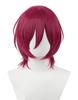 Cosplay Wig with Net, Heat-Resistant, Halloween Costume Wig (Seven Types of Ibara, Saegusa, Ibara)