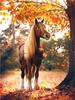 DIY алмазная живопись животное вышивка крестиком полный круглый дрель конь живопись вышивка ремесло украшение дома