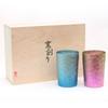 HORIE Made In Niigata Prefecture Titanium Double Tumbler Kiln Light 270cc Yui Blue X Pink 2 Color Set T09KM270WDSET Tsubame,