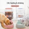 Автоматическая поилка и кормушка для домашних животных 3,8 л для кошек и собак