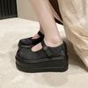 Luxury Embroidered Printed Platform Women Mary Janes Shoes 2025 New Big Round Head Buckle Belt Comfort Thick Bottom Shoe
