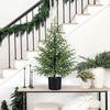 Искусственная норфолкская сосна Реалистичная Искусственная горшечная Рождественская елка для прихожей гостиной офиса квартиры Праздничное внутреннее и наружное украшение
