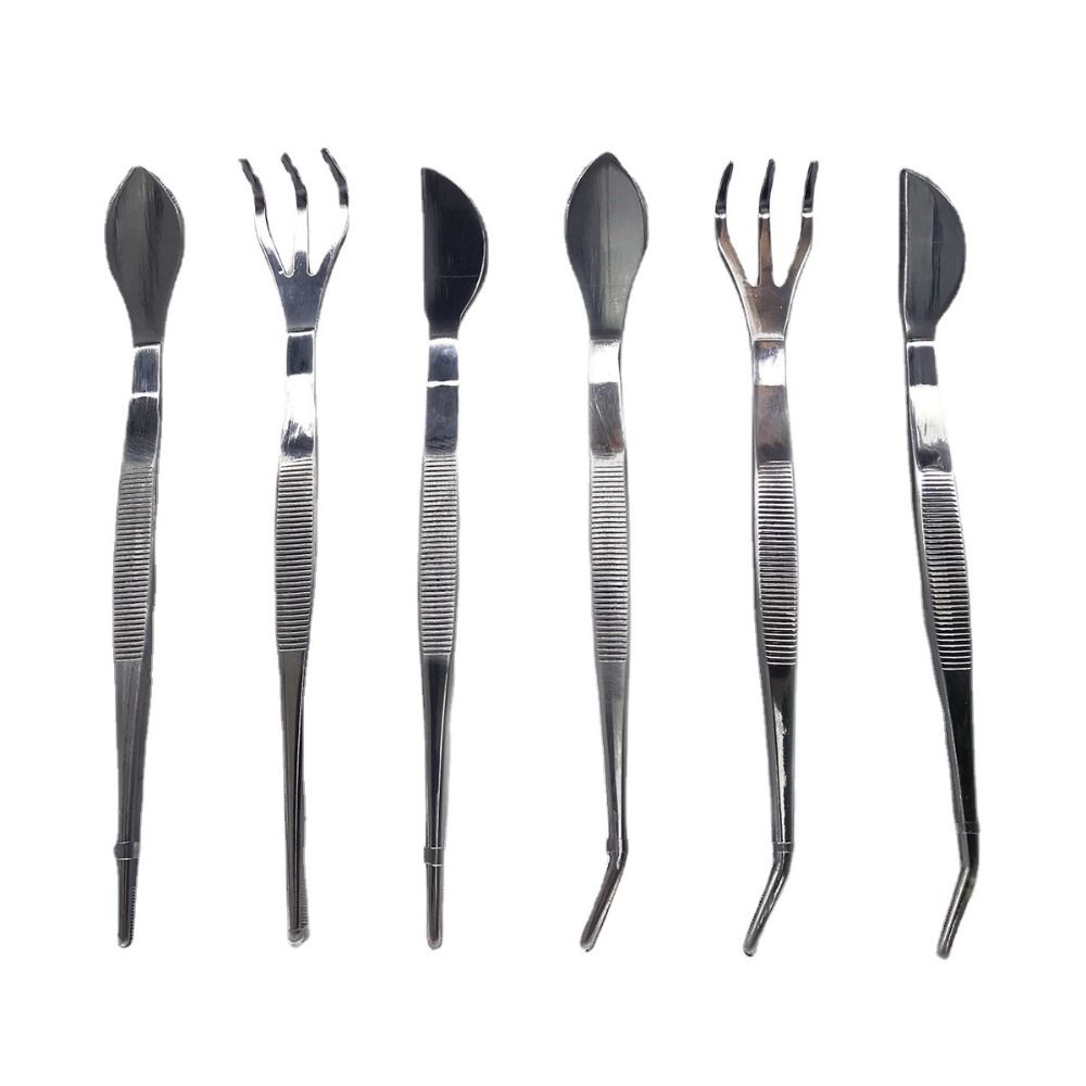 Mini Bonsai Tweezers 2-in-1 Gardening Rake Stainless Steel Root Rake for Succulents Crafting