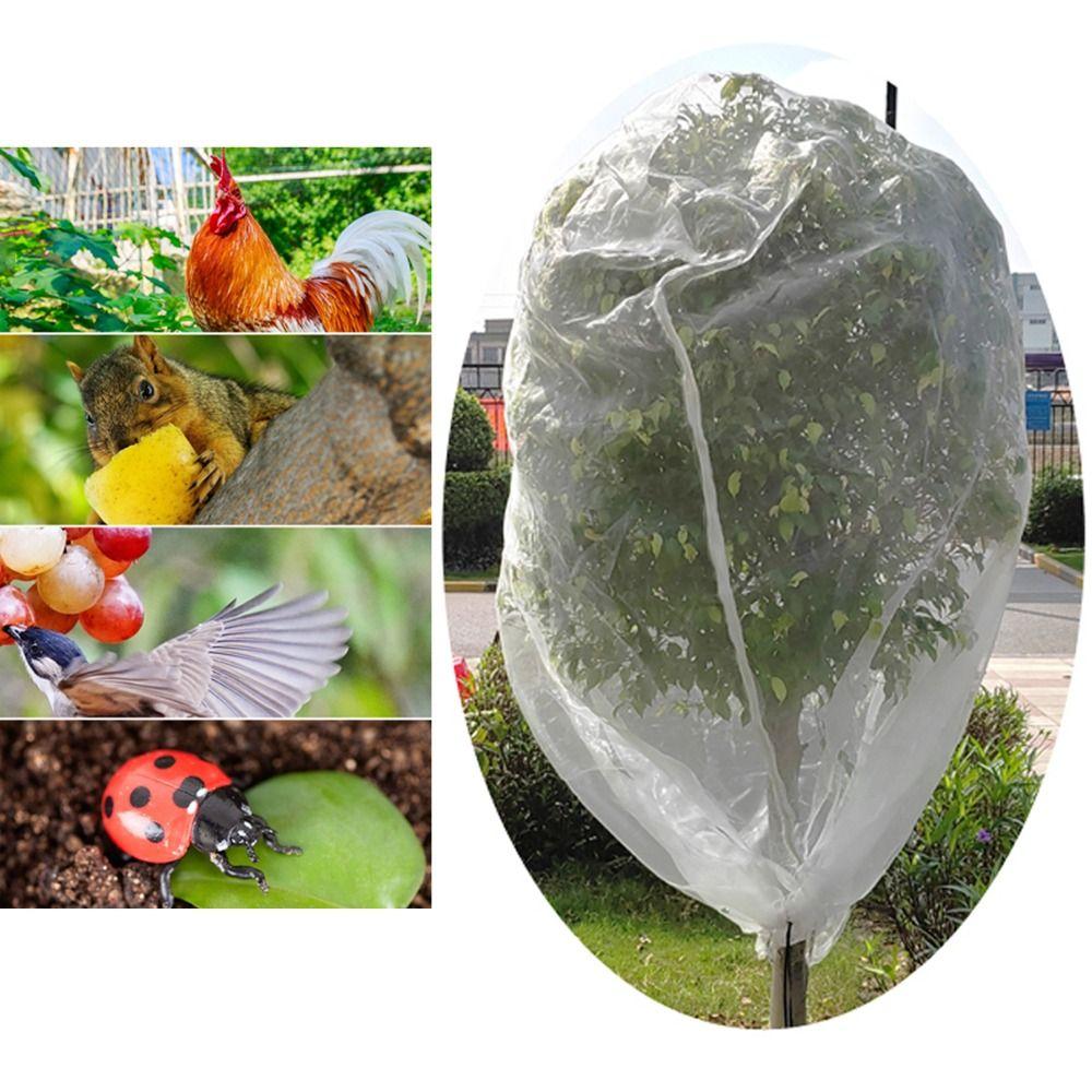 10ftx10ft сетка для фруктовых деревьев, большая барьерная сетка от насекомых и птиц для защиты сада