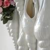 Современная белая керамическая ваза-раковина, настенный держатель для цветов для гостиной, спальни, для цветочной композиции