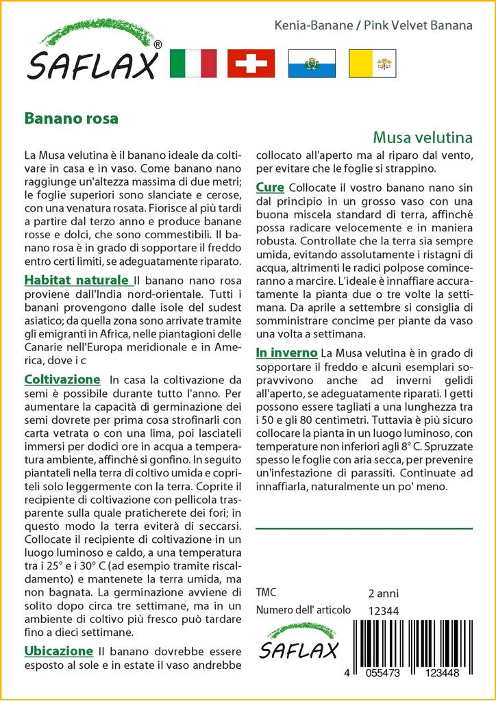 SAFLAX Подарочный набор - Банан Pink Velvet - 8 семян - С подарочной коробкой, карточкой, этикеткой и субстратом для горшков - Musa velutina