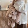 Autumn New Plush Handbag Cute Bear Women's Shoulder Bag High Value Fashionable Plush Simple Bag