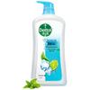 Dettol Mint Ice Cool Гель для душа