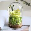 Eternal Flower Finished Jewelry Real Flower Rose Dandelion Glass Cover Father's Day Mother's Day Easter Women's Day Thanksgiving