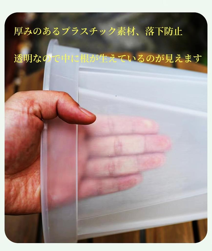 12 pieces yen in 3 Clear Plastic Plant Pots with Bottom Plates (365 each) (Available sizes) (Medium)