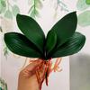 Artificial Flowers Butterfly Orchid Leaves Soft Material Leaves EV Leaves Home Fake Flowers Hotel Decoration Green Plants
