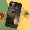 Ламассу Ассирийская Месопотамская Чехол для Телефона Для iPhone 17 17Air 16 15 14 13 11 12 Pro Max 12 13 Mini 16E Ударопрочный Чехол