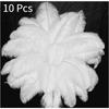10 Pcs Elegant Ostrich Feather Fluffy Feather for Wedding Party Home Room DIY Crafts Decorations
