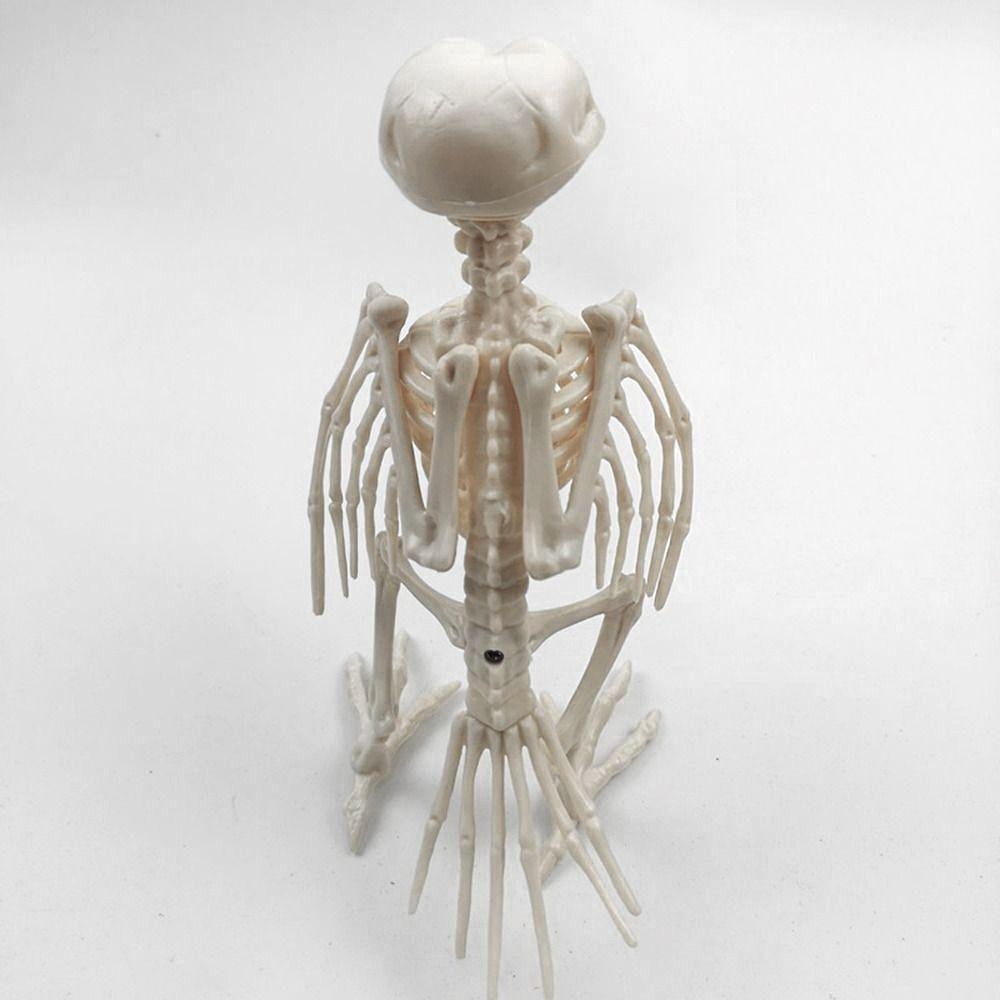 Halloween Prop Plastic Halloween Decoration Animal Skeleton Bones Crow Skeleton Skeleton Raven