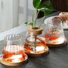 Стеклянные вазы Nordic Simple Transparent Home Декоративная гидропонная ваза для растений Креативный настольный орнамент Цветочная композиция Бутылка