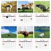 2026 Wall Calendar Dog Pooping/Angry Cat Calendar January 2026 - December 2026