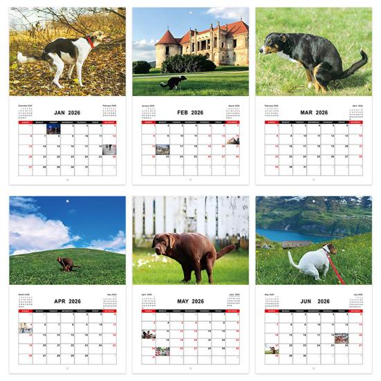 2026 Wall Calendar Dog Pooping/Angry Cat Calendar January 2026 - December 2026 12 Monthly Planner for Classroom Home Office