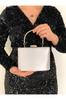 Women's Stylish and Useful Evening Dress Bag Evening Dress Bag with Satin Silver Handle