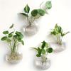 Wall Hanging Glass Plant Terrarium Container Propagation Station Wall-Mounted Flower Vases Air Plant Terrarium Home Office Decor