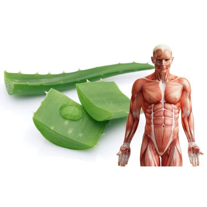 Soin De La Peau — Hydratant Pour Brûlures, Eczéma, Piqûres — Aloe Vera 99,5 % Pur, Gel 120 Ml — Convient À Tous Les Types De Peau