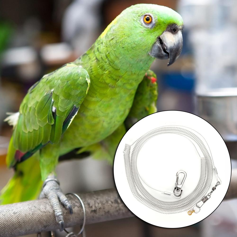 Bird Harness Leash Anti Bite Elastic Outdoor Bird Flying Training Rope Pet Supplies4.5MM
