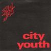 7-дюймовая пластинка SALFORD JETS - City Youth SAL1 Lunar Records 1980 UK Рок Б/У
