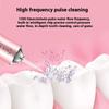 New Oral Irrigator Portable Dental Water Flosser USB Rechargeable Water Jet Floss Tooth Pick 4 Jet Tip 220ml 3 Modes Teeth Clean
