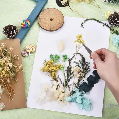 Сухие цветы DIY флористические материалы Вечный цветок ручная работа свадебное украшение курс цветов искусственный материал упаковка
