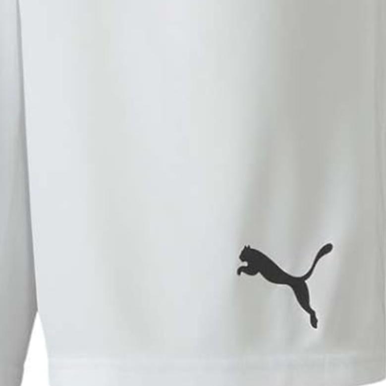 Puma Teamgoal 23 Сплошной логотип Эластичный пояс Трехчетвертные спортивные шорты Мужские шорты 704262-04