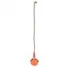 6cm Portable EVA Pet Dog Training Bite Resistant Interactive Chew Toys Ball with Carrier Rope