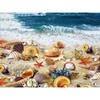 Diamond Embroidery Sea Shells By The Sea Shore Craft Diamond Painting