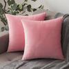 2 шт., высококачественные наволочки, против морщин, прочные, не выцветают, удобные, плюшевые, квадратные чехлы на подушки