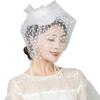 Bridal Face Covering Headgear Veil Old Shanghai Cheongsam Accessories Classical Feather Top Hat