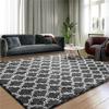 Area Rug Extra Soft Rugs for Living Room, High Pile Indoor Carpet for Bedroom, Playroom, Nursery, Home Decor, Geometric, Dark Grey/White