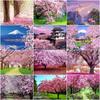 Diamond Painting Full Cherry Blossoms Mosaic House Sakura Embroidery Scenery Home Decor Diamond Art