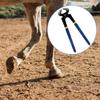 Farrier Hoof Nippers Horse Trimmer Tools Tool